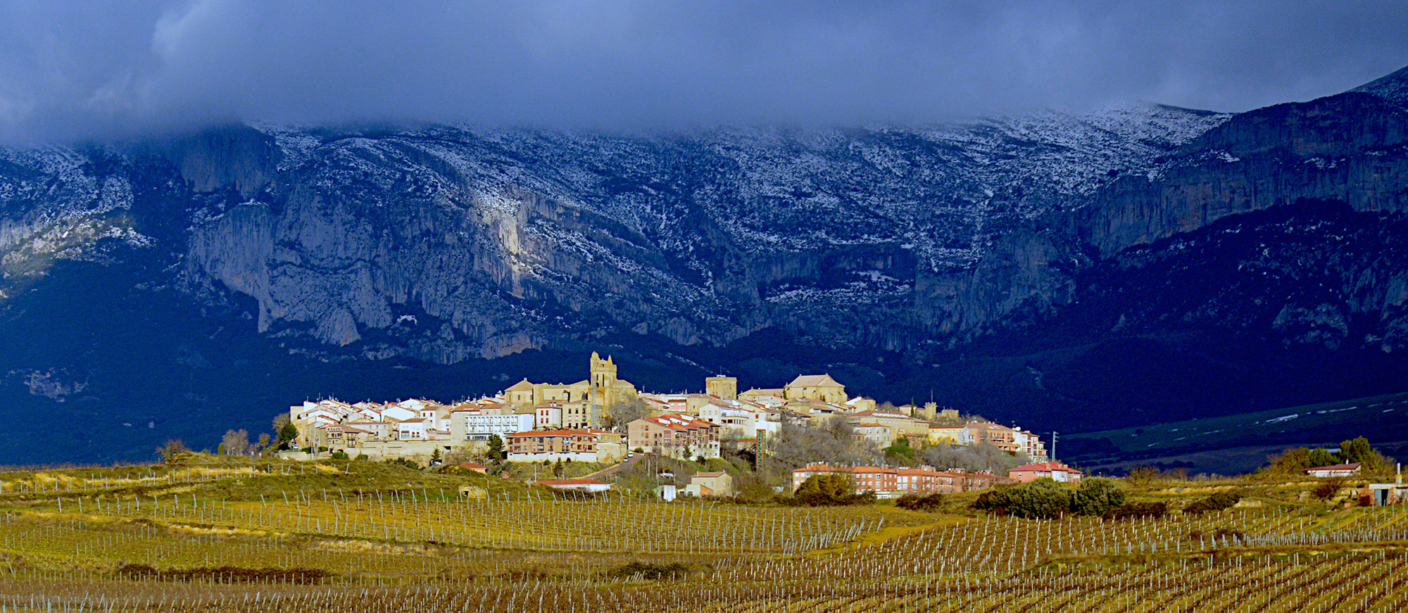 escapada un día de Bilbao a Laguardia Rioja Alavesa muralla medieval viñedos